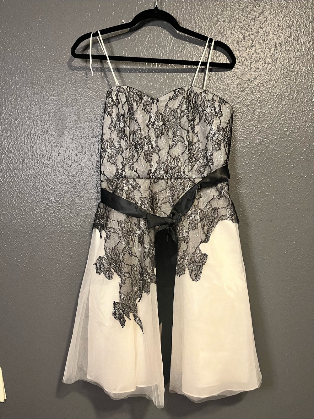 NWT Max & Cleo Black Lace Overlay on Ivory Dress